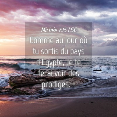Picture 04 - Michée 7:15 LSG - Comme au jour où tu sortis du pays d'Egypte, Je - Bible Verse Picture