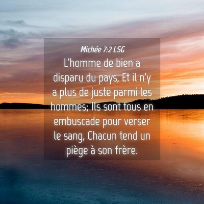 Picture 04 - Michée 7:2 LSG - L'homme de bien a disparu du pays, Et il n'y a - Bible Verse Picture