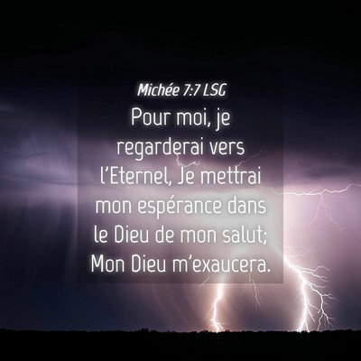 Picture 04 - Michée 7:7 LSG - Pour moi, je regarderai vers l'Eternel, Je - Bible Verse Picture