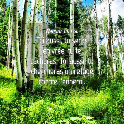Picture 04 - Nahum 3:11 LSG - Toi aussi, tu seras enivrée, tu te cacheras; Toi - Bible Verse Picture