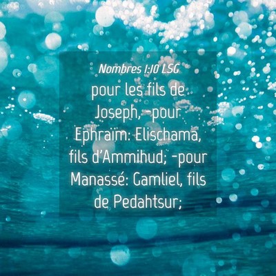 Picture 04 - Nombres 1:10 LSG - pour les fils de Joseph, -pour Ephraïm: - Bible Verse Picture