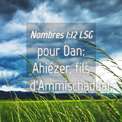 Picture 04 - Nombres 1:12 LSG - pour Dan: Ahiézer, fils - Bible Verse Picture