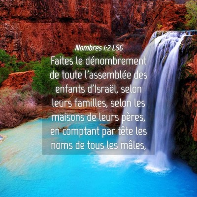 Picture 04 - Nombres 1:2 LSG - Faites le dénombrement de toute l'assemblée des - Bible Verse Picture