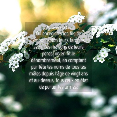 Picture 04 - Nombres 1:22 LSG - On enregistra les fils de Siméon, selon leurs - Bible Verse Picture