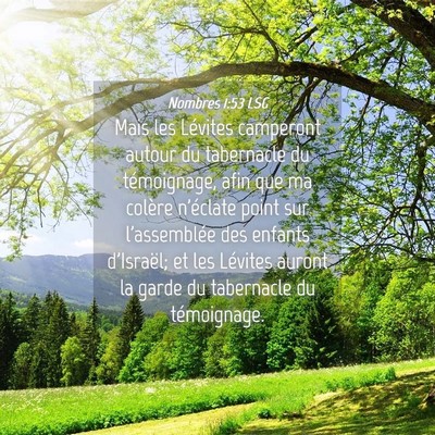 Picture 04 - Nombres 1:53 LSG - Mais les Lévites camperont autour du tabernacle - Bible Verse Picture