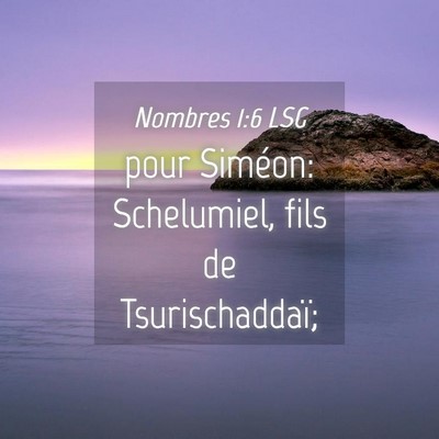 Picture 04 - Nombres 1:6 LSG - pour Siméon: Schelumiel, fils de - Bible Verse Picture