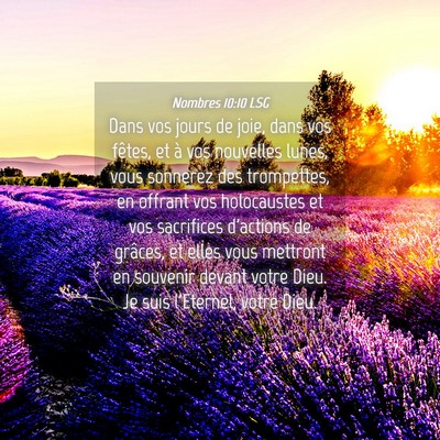 Picture 04 - Nombres 10:10 LSG - Dans vos jours de joie, dans vos fêtes, et à - Bible Verse Picture