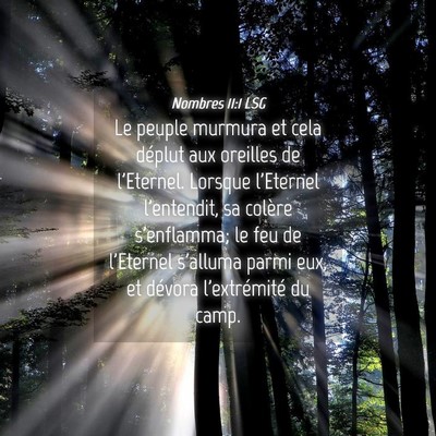 Picture 04 - Nombres 11:1 LSG - Le peuple murmura et cela déplut aux oreilles de - Bible Verse Picture