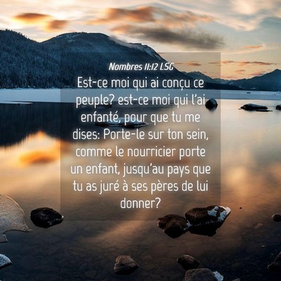 Picture 04 - Nombres 11:12 LSG - Est-ce moi qui ai conçu ce peuple? est-ce moi - Bible Verse Picture