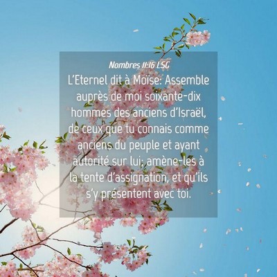 Picture 04 - Nombres 11:16 LSG - L'Eternel dit à Moïse: Assemble auprès de moi - Bible Verse Picture