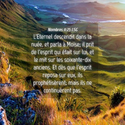 Picture 04 - Nombres 11:25 LSG - L'Eternel descendit dans la nuée, et parla à - Bible Verse Picture
