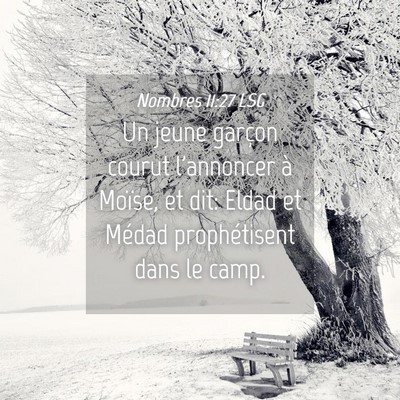 Picture 04 - Nombres 11:27 LSG - Un jeune garçon courut l'annoncer à Moïse, et - Bible Verse Picture