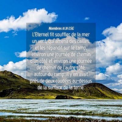 Picture 04 - Nombres 11:31 LSG - L'Eternel fit souffler de la mer un vent, qui - Bible Verse Picture