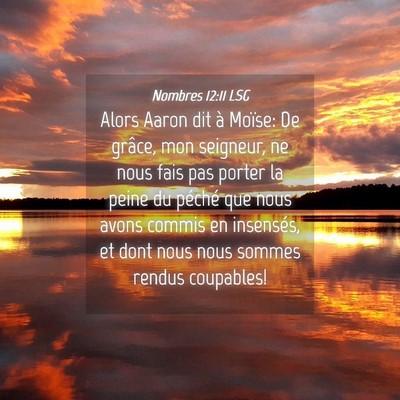 Picture 04 - Nombres 12:11 LSG - Alors Aaron dit à Moïse: De grâce, mon - Bible Verse Picture