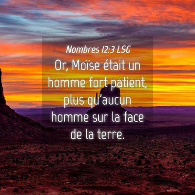 Picture 04 - Nombres 12:3 LSG - Or, Moïse était un homme fort patient, plus - Bible Verse Picture