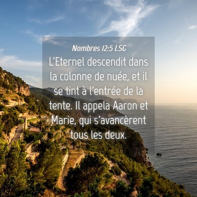 Picture 04 - Nombres 12:5 LSG - L'Eternel descendit dans la colonne de nuée, et - Bible Verse Picture