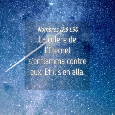 Picture 04 - Nombres 12:9 LSG - La colère de l'Eternel s'enflamma contre eux. Et - Bible Verse Picture