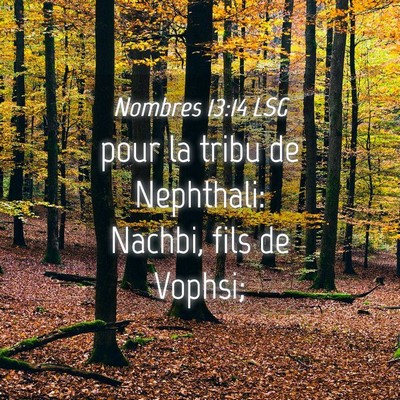 Picture 04 - Nombres 13:14 LSG - pour la tribu de Nephthali: Nachbi, fils de - Bible Verse Picture