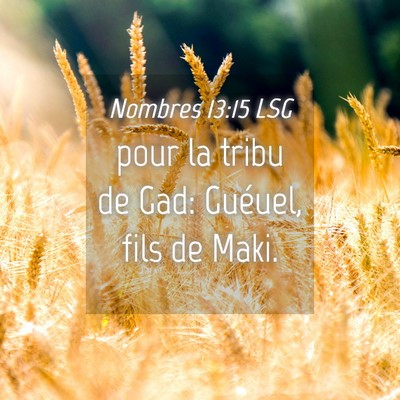 Picture 04 - Nombres 13:15 LSG - pour la tribu de Gad: Guéuel, fils de - Bible Verse Picture