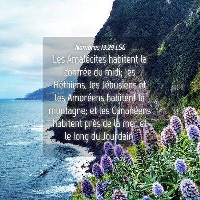 Picture 04 - Nombres 13:29 LSG - Les Amalécites habitent la contrée du midi; les - Bible Verse Picture