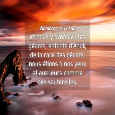 Picture 04 - Nombres 13:33 LSG - et nous y avons vu les géants, enfants d'Anak, - Bible Verse Picture