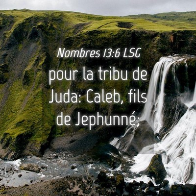 Picture 04 - Nombres 13:6 LSG - pour la tribu de Juda: Caleb, fils de - Bible Verse Picture