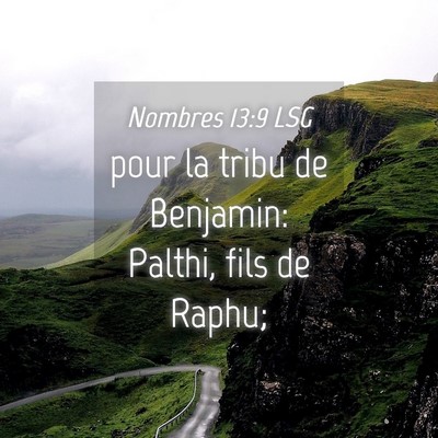 Picture 04 - Nombres 13:9 LSG - pour la tribu de Benjamin: Palthi, fils de - Bible Verse Picture