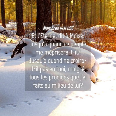 Picture 04 - Nombres 14:11 LSG - Et l'Eternel dit à Moïse: Jusqu'à quand ce - Bible Verse Picture