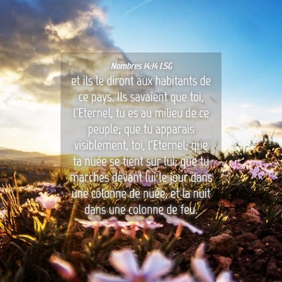 Picture 04 - Nombres 14:14 LSG - et ils le diront aux habitants de ce pays. Ils - Bible Verse Picture