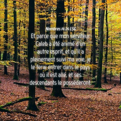 Picture 04 - Nombres 14:24 LSG - Et parce que mon serviteur Caleb a été animé - Bible Verse Picture
