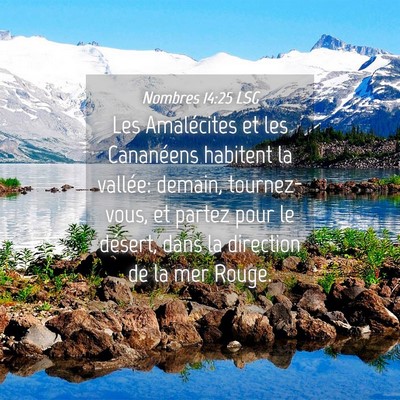 Picture 04 - Nombres 14:25 LSG - Les Amalécites et les Cananéens habitent la - Bible Verse Picture