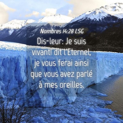 Picture 04 - Nombres 14:28 LSG - Dis-leur: Je suis vivant! dit l'Eternel, je vous - Bible Verse Picture