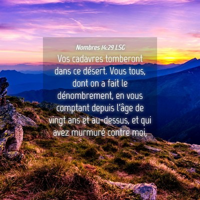 Picture 04 - Nombres 14:29 LSG - Vos cadavres tomberont dans ce désert. Vous - Bible Verse Picture