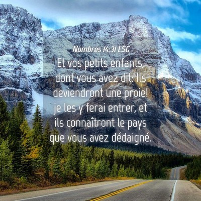 Picture 04 - Nombres 14:31 LSG - Et vos petits enfants, dont vous avez dit: Ils - Bible Verse Picture