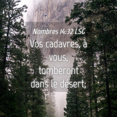 Picture 04 - Nombres 14:32 LSG - Vos cadavres, à vous, tomberont dans le - Bible Verse Picture