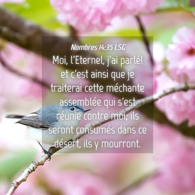 Picture 04 - Nombres 14:35 LSG - Moi, l'Eternel, j'ai parlé! et c'est ainsi que - Bible Verse Picture