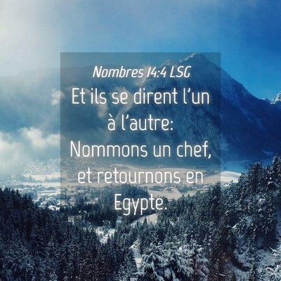 Picture 04 - Nombres 14:4 LSG - Et ils se dirent l'un à l'autre: Nommons un - Bible Verse Picture