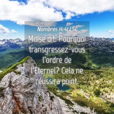 Picture 04 - Nombres 14:41 LSG - Moïse dit: Pourquoi transgressez-vous l'ordre de - Bible Verse Picture