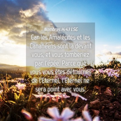 Picture 04 - Nombres 14:43 LSG - Car les Amalécites et les Cananéens sont là - Bible Verse Picture