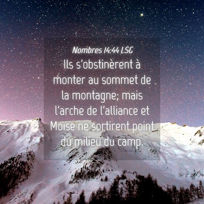 Picture 04 - Nombres 14:44 LSG - Ils s'obstinèrent à monter au sommet de la - Bible Verse Picture