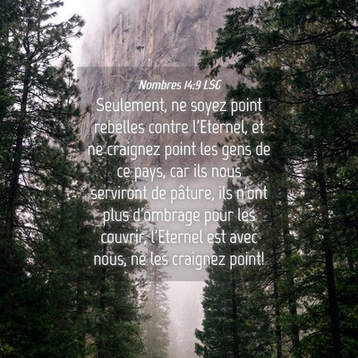 Picture 04 - Nombres 14:9 LSG - Seulement, ne soyez point rebelles contre - Bible Verse Picture