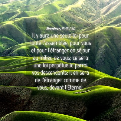 Picture 04 - Nombres 15:15 LSG - Il y aura une seule loi pour toute l'assemblée, - Bible Verse Picture