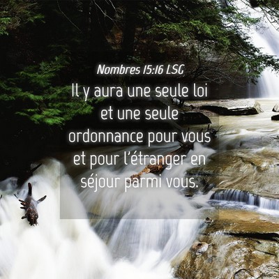 Picture 04 - Nombres 15:16 LSG - Il y aura une seule loi et une seule ordonnance - Bible Verse Picture