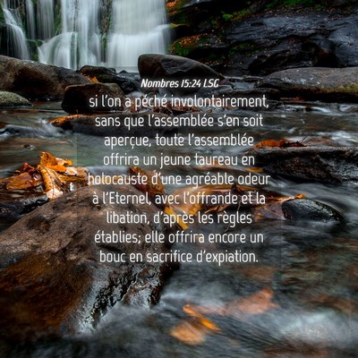 Picture 04 - Nombres 15:24 LSG - si l'on a péché involontairement, sans que - Bible Verse Picture