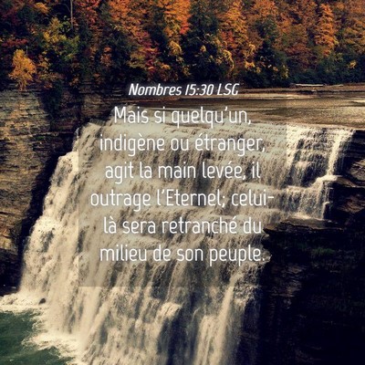 Picture 04 - Nombres 15:30 LSG - Mais si quelqu'un, indigène ou étranger, agit - Bible Verse Picture