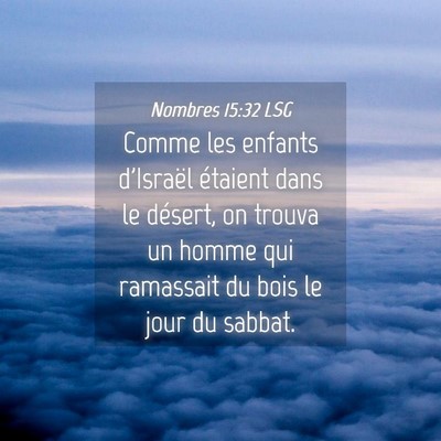Picture 04 - Nombres 15:32 LSG - Comme les enfants d'Israël étaient dans le - Bible Verse Picture
