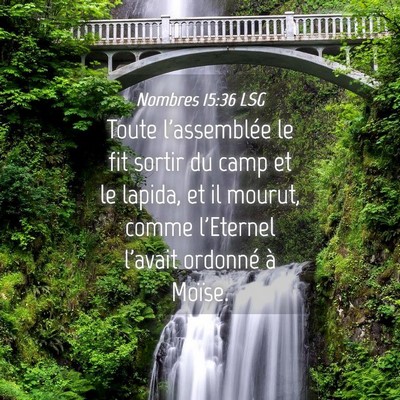 Picture 04 - Nombres 15:36 LSG - Toute l'assemblée le fit sortir du camp et le - Bible Verse Picture