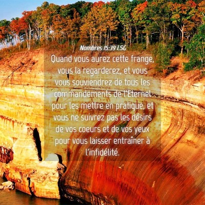 Picture 04 - Nombres 15:39 LSG - Quand vous aurez cette frange, vous la - Bible Verse Picture