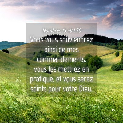 Picture 04 - Nombres 15:40 LSG - Vous vous souviendrez ainsi de mes commandements, - Bible Verse Picture