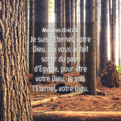 Picture 04 - Nombres 15:41 LSG - Je suis l'Eternel, votre Dieu, qui vous ai fait - Bible Verse Picture